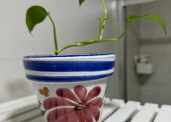 Alex - Your Away Including Breakfast - In A Real Couette-café