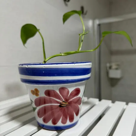 Alex - Your Away Including Breakfast - In A Real Bed & Breakfast