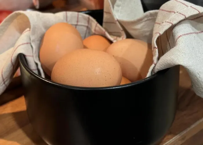 Alex - Your Away Including Breakfast - In A Real Panzió