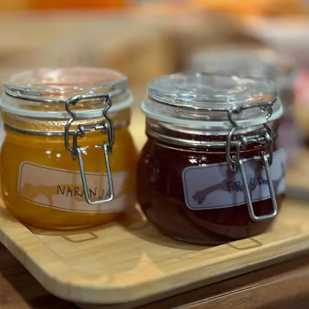 Alex - Your Away Including Breakfast - In A Real 3*